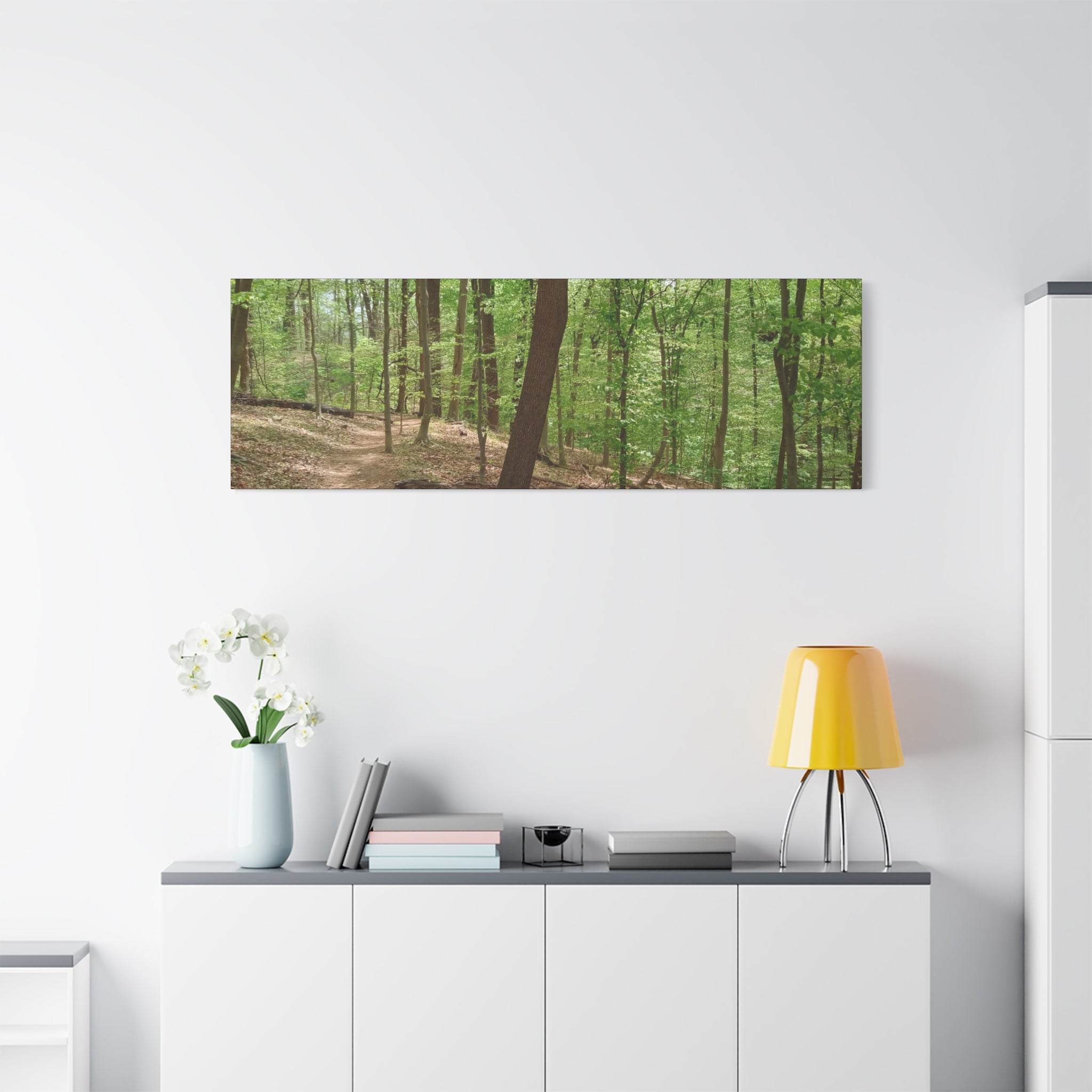 Nature Photography Prints