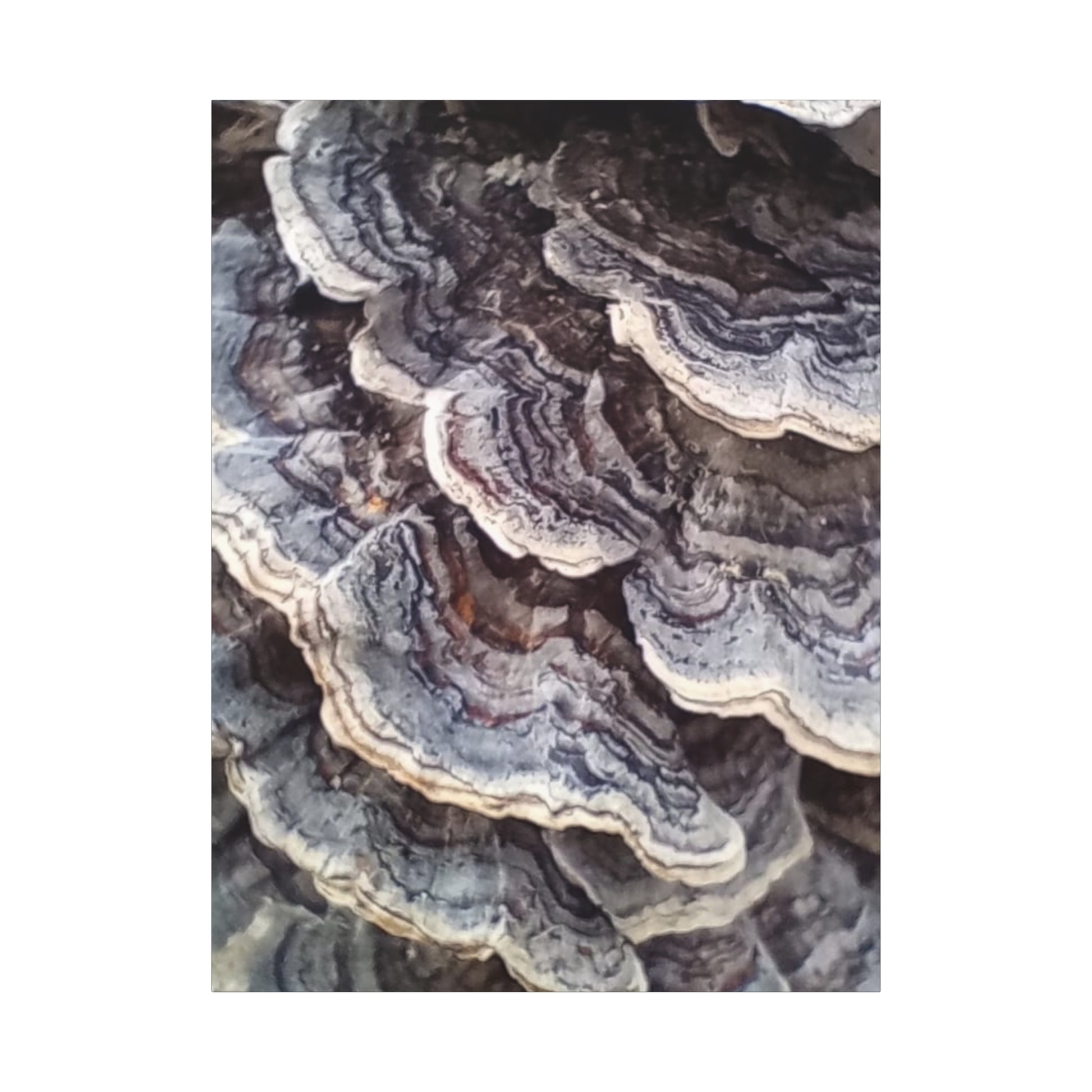 Layered