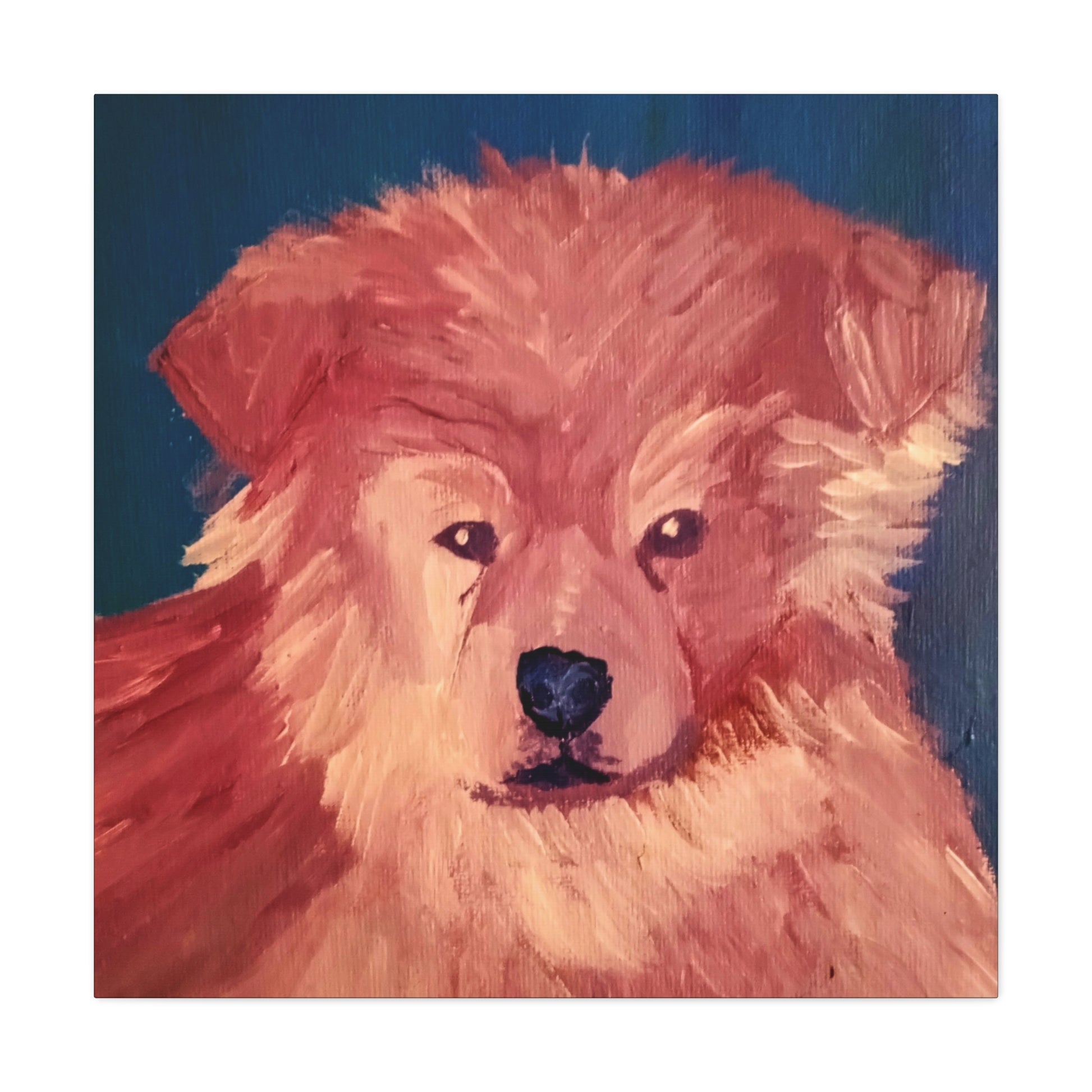 Companion