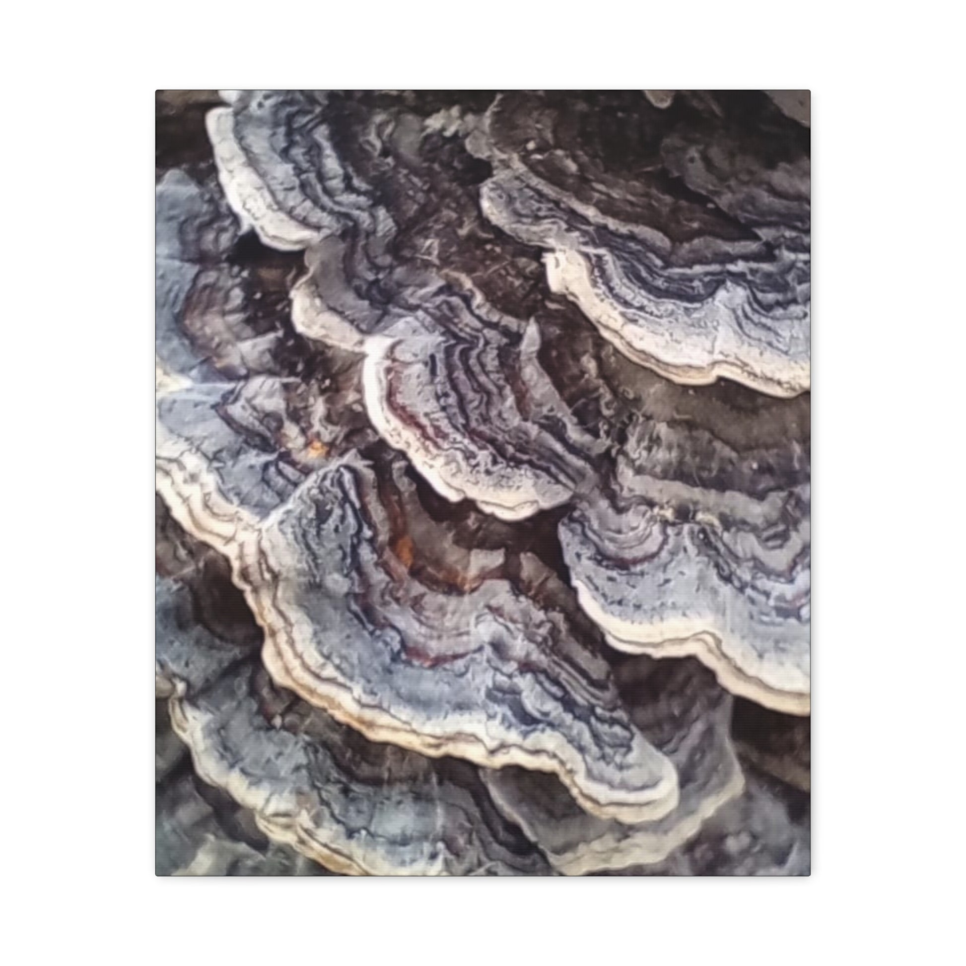 Layered