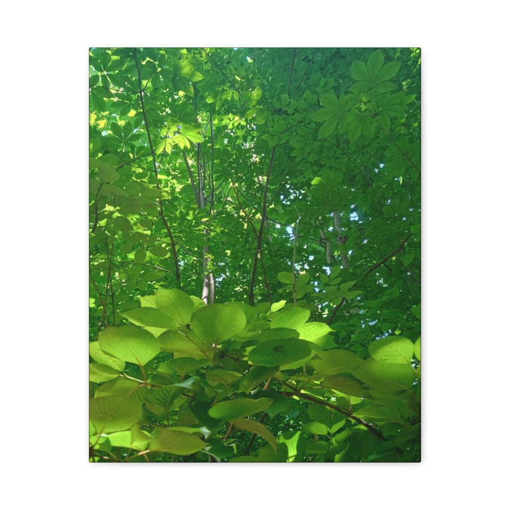 Aglow