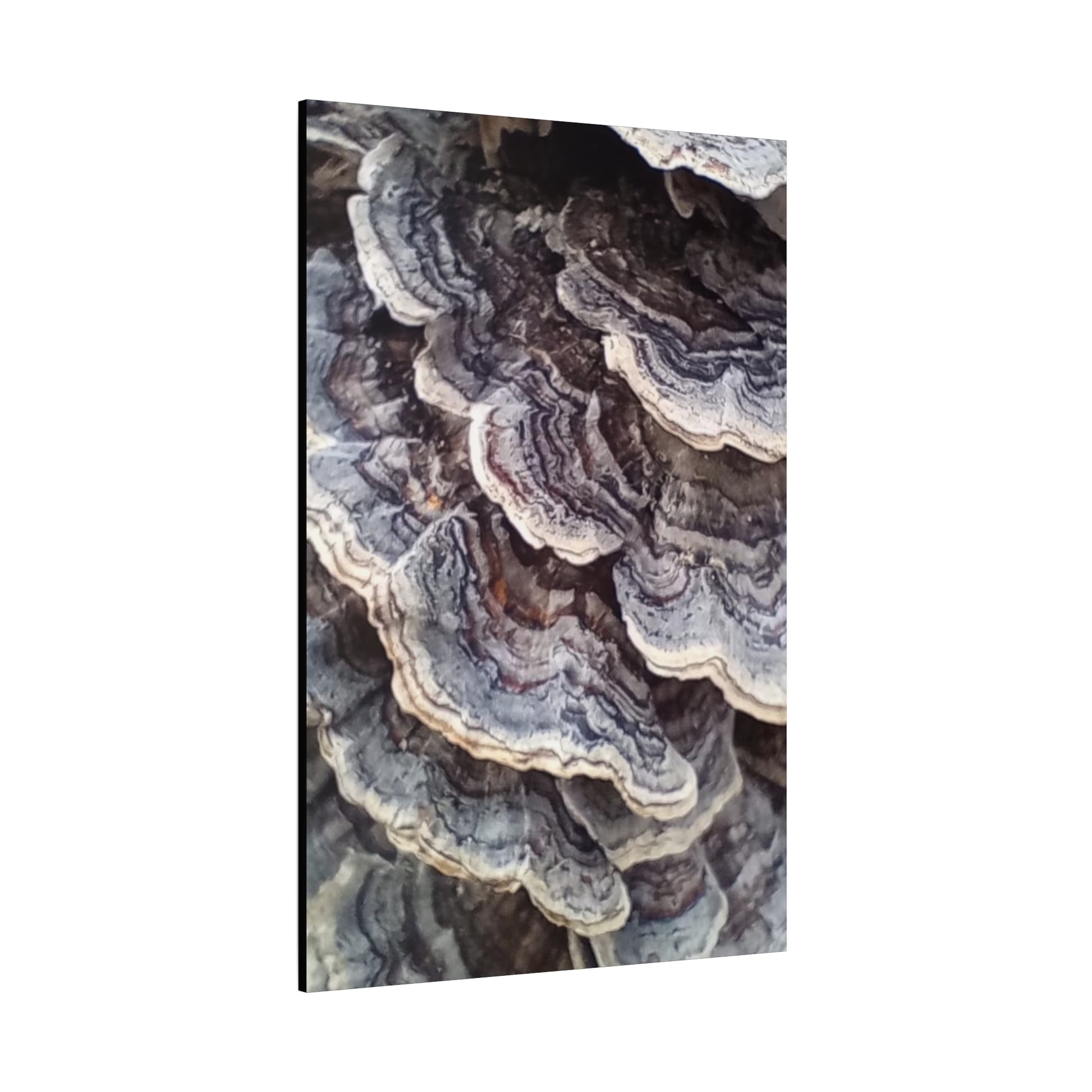 Layered