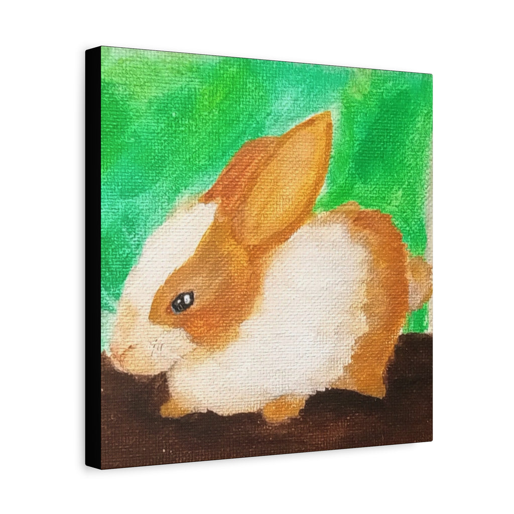 Long Eared Companion