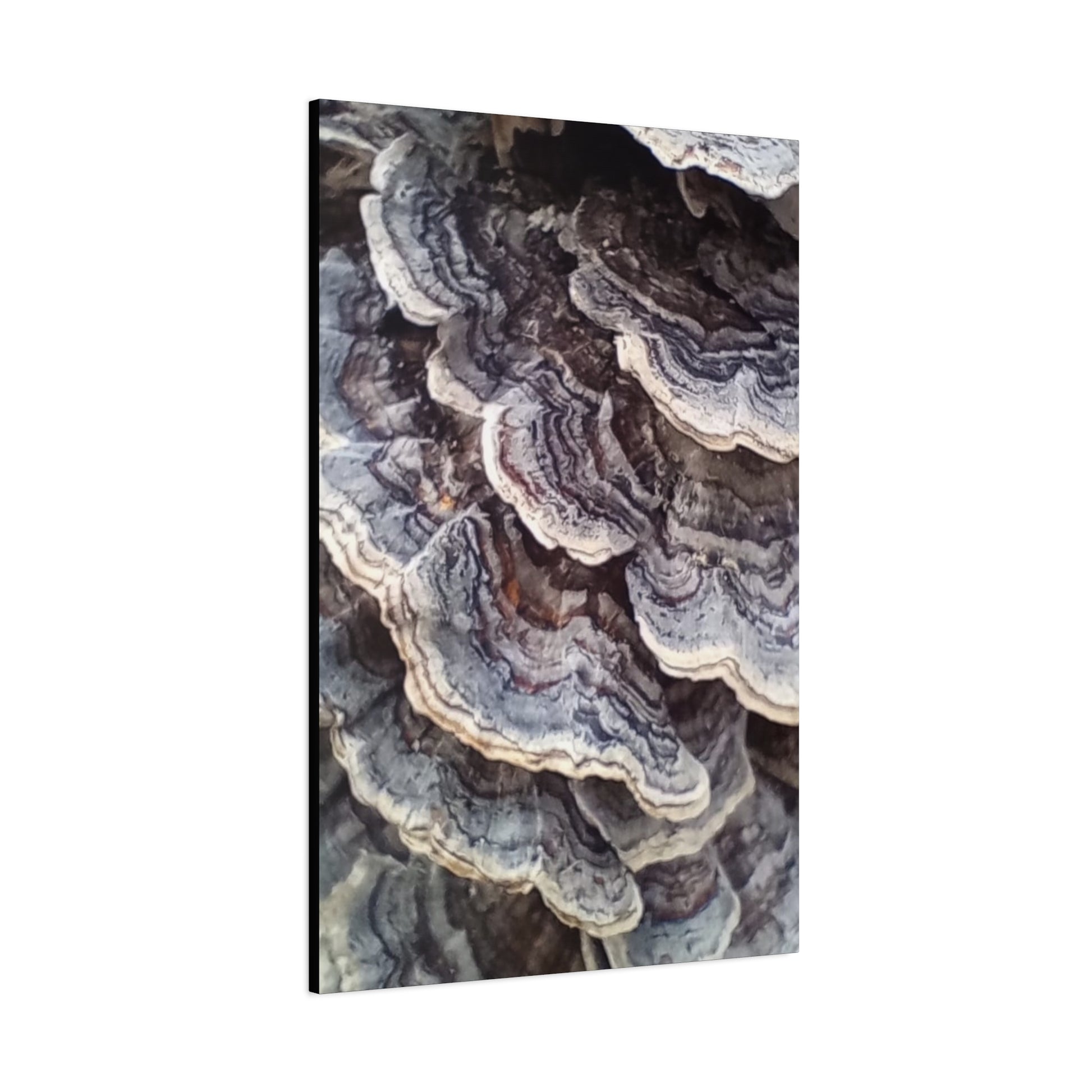 Layered