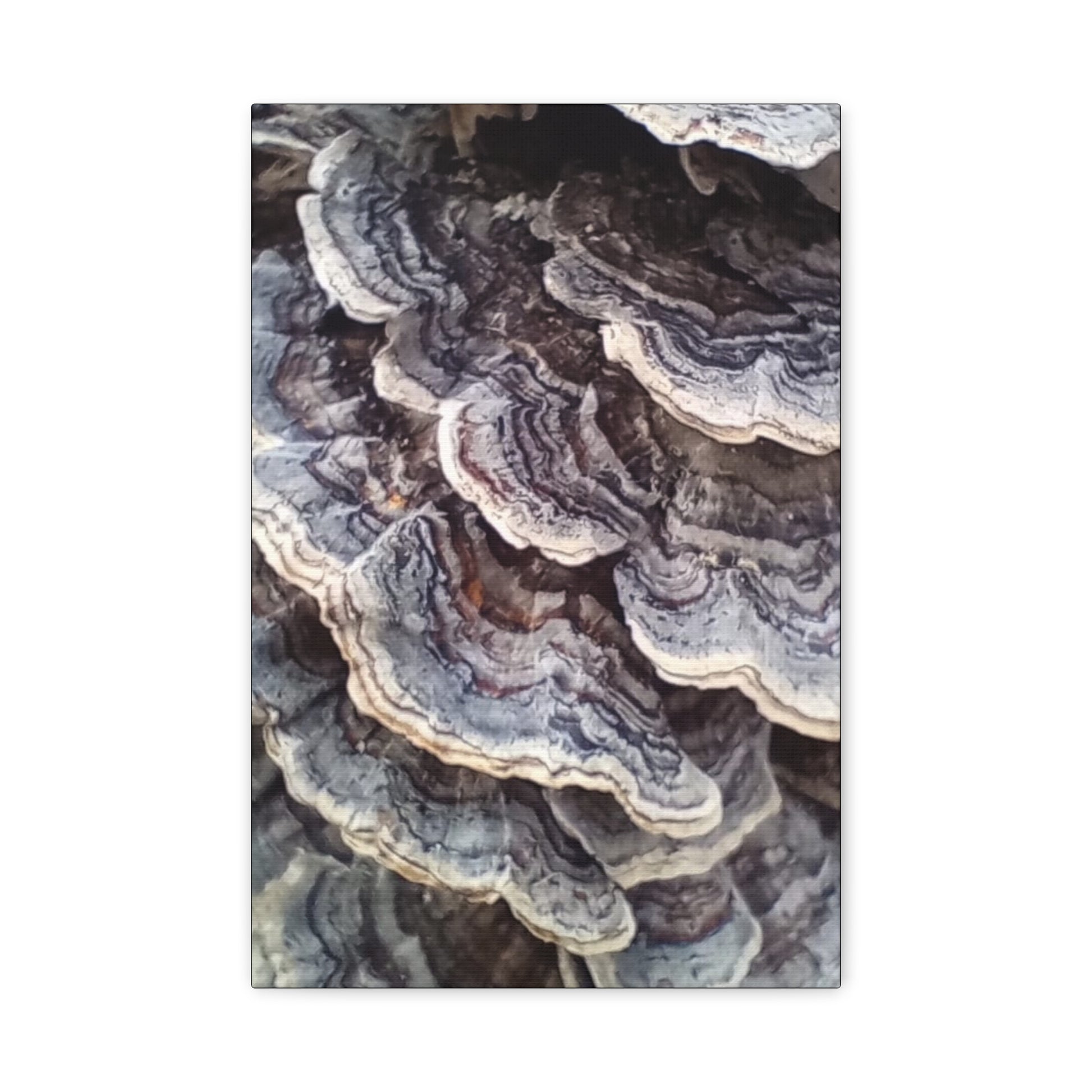 Layered