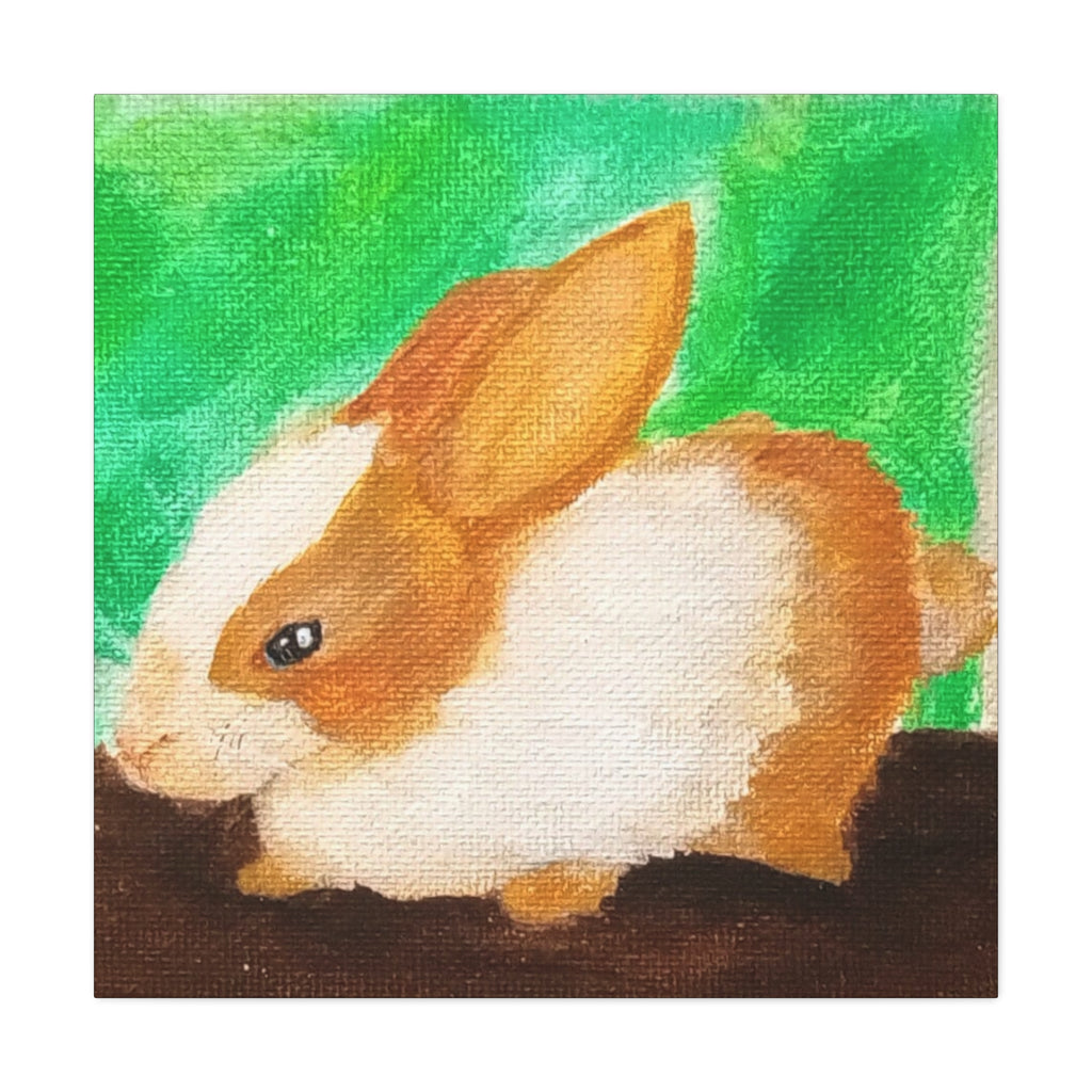 Long Eared Companion