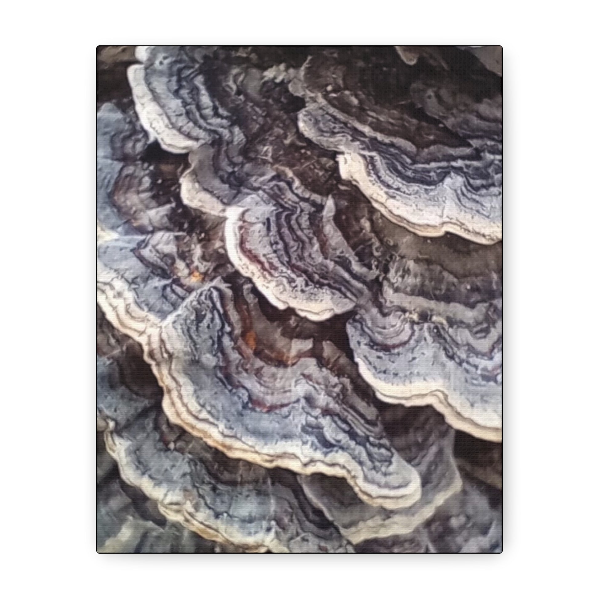Layered