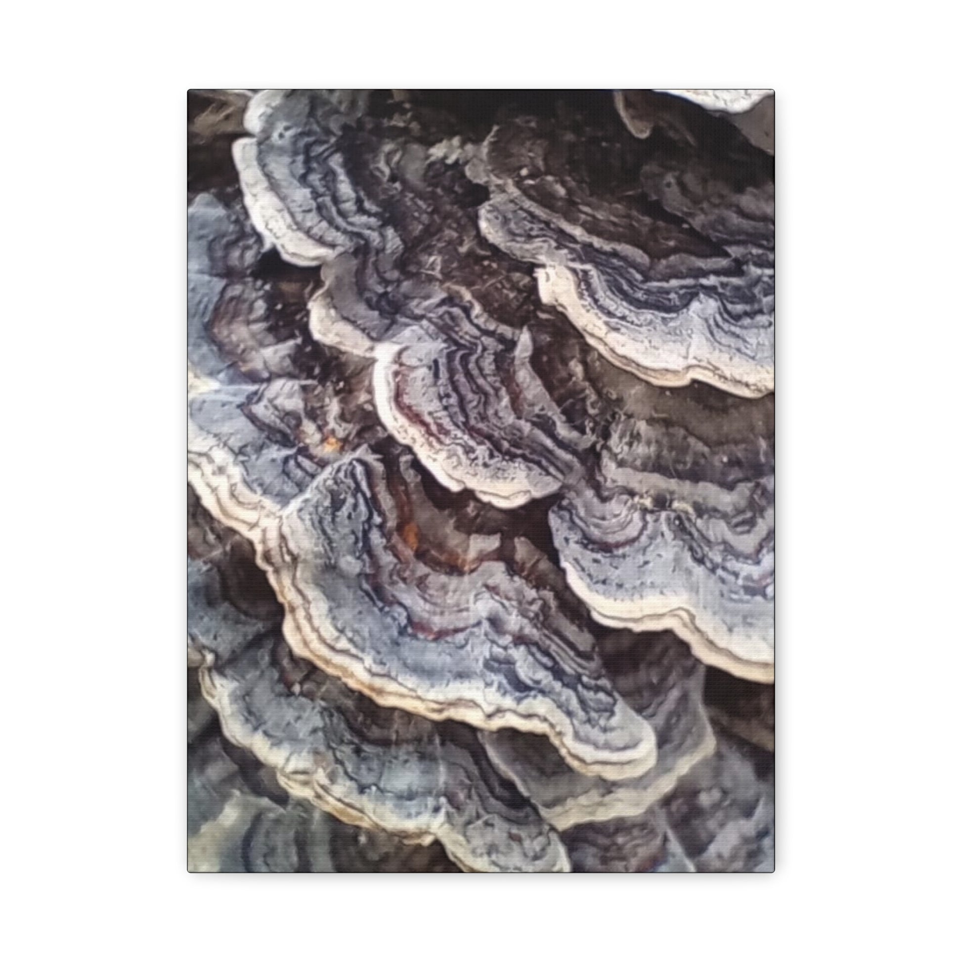 Layered