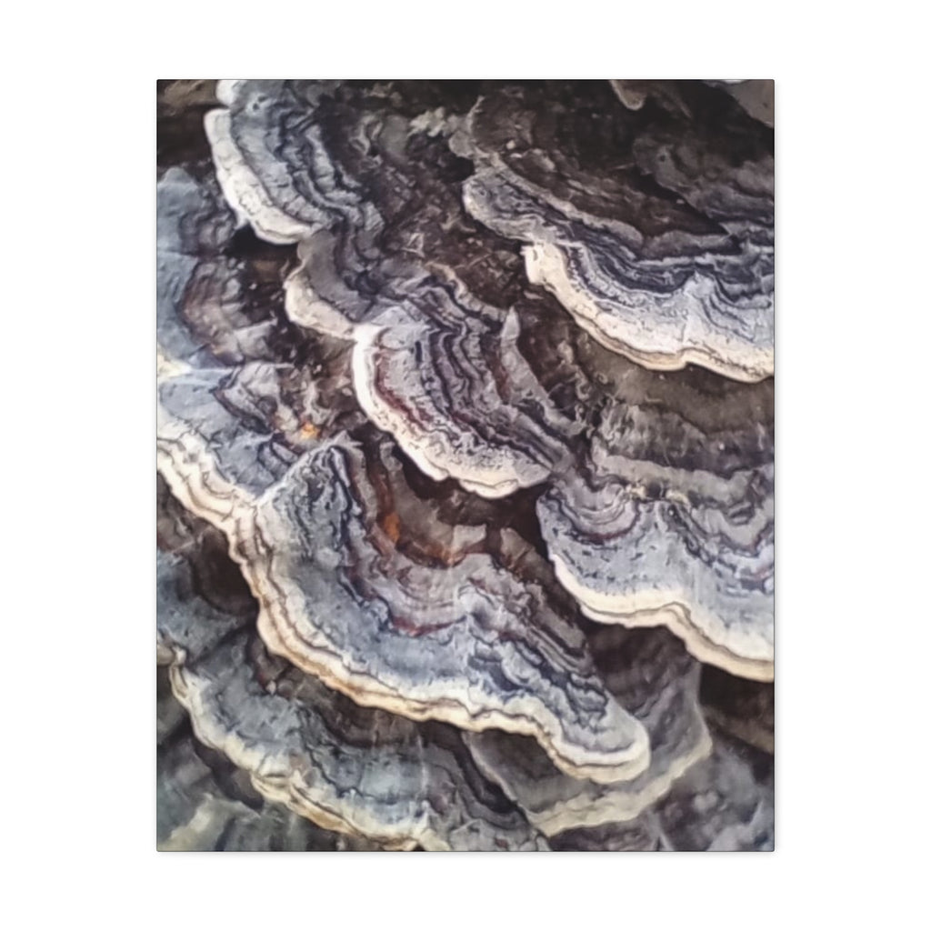 Layered