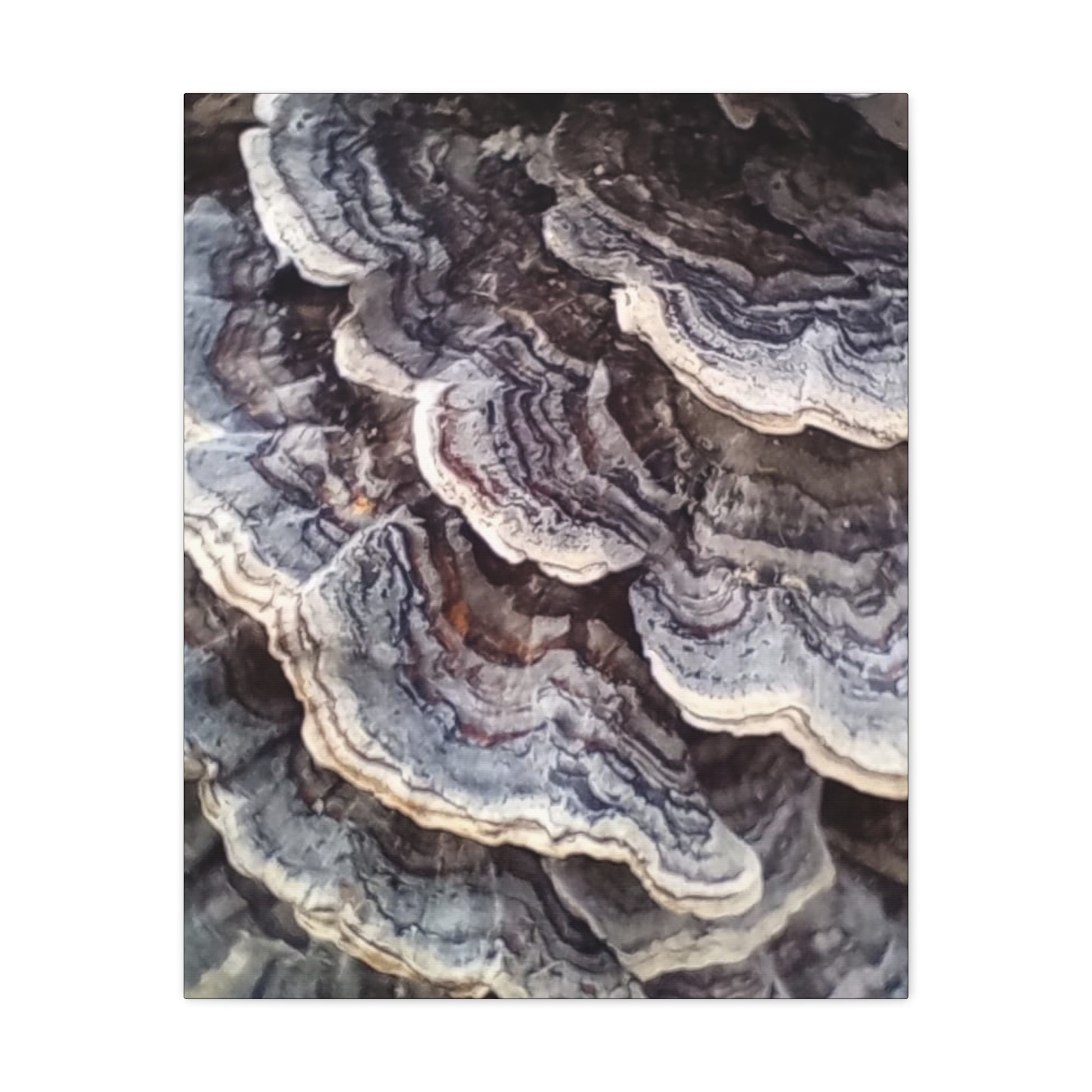 Layered