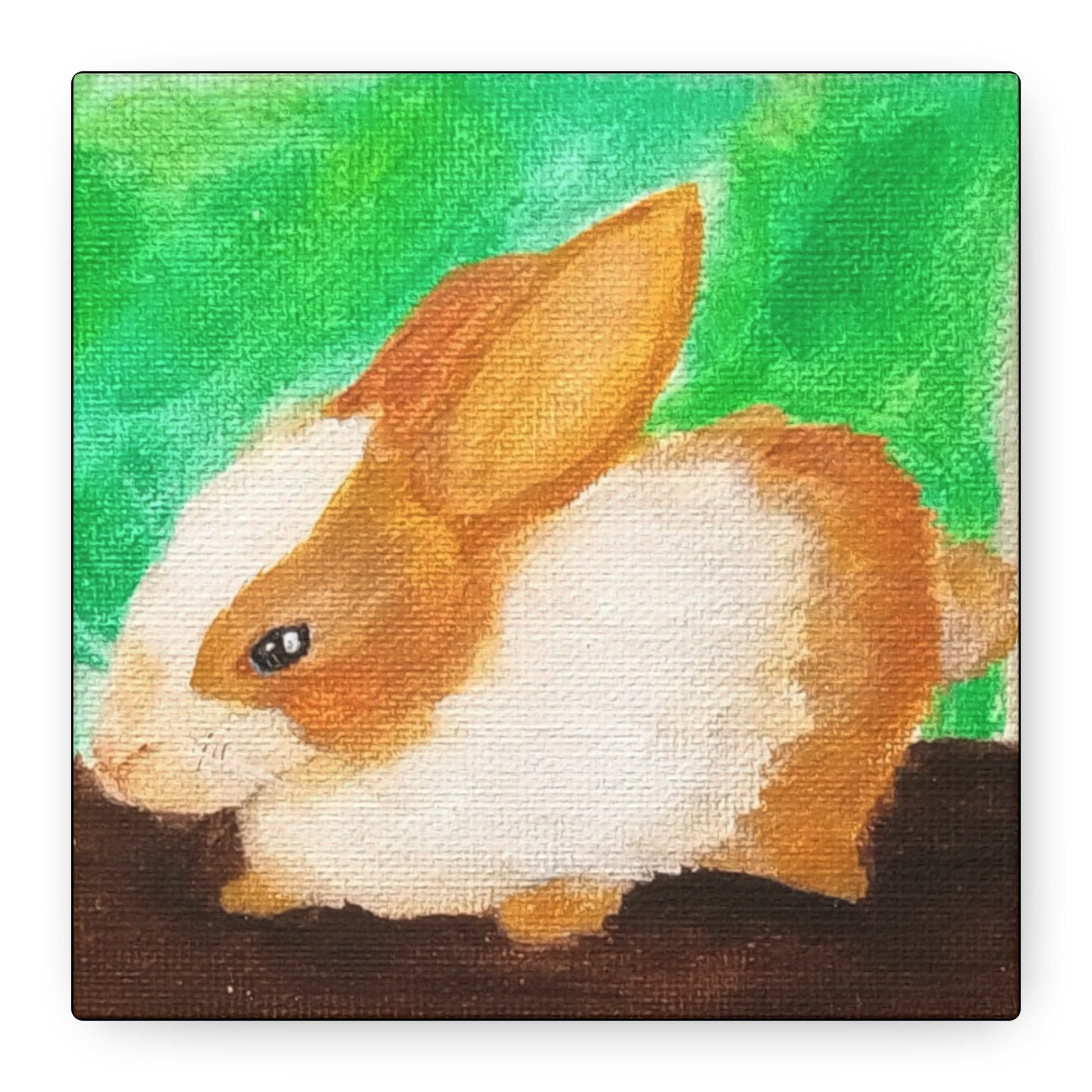 Long Eared Companion