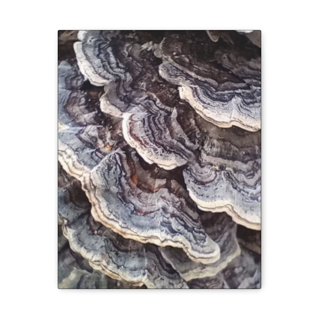 Layered