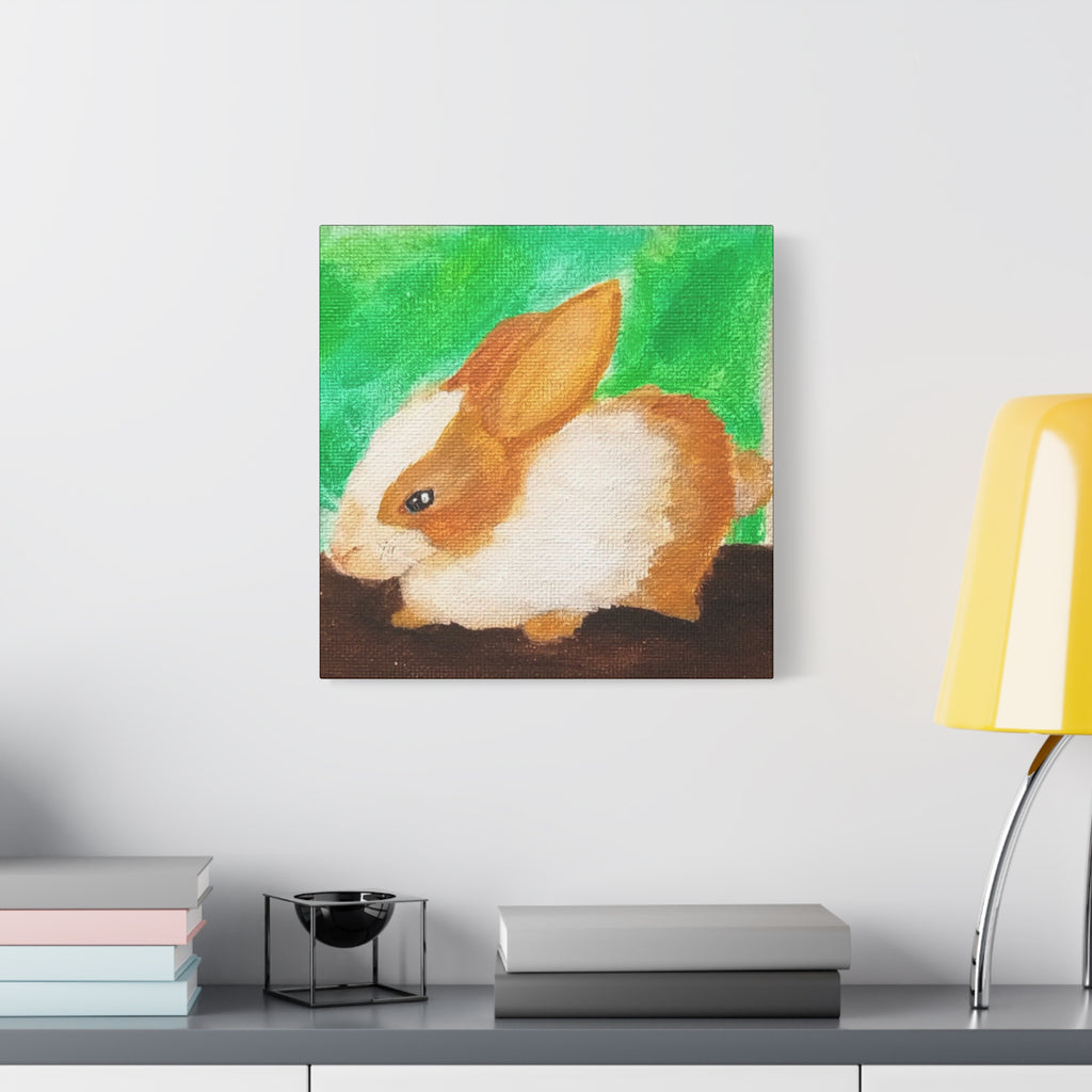 Long Eared Companion